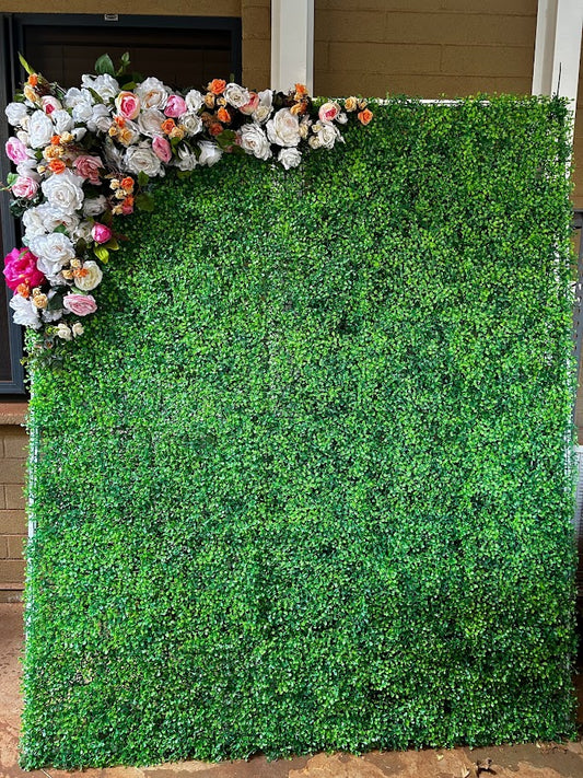 Hedge Wall Backdrop Hire